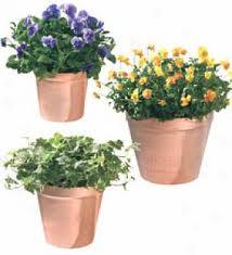 Premium quality Steel Copper <b>Bucket</b> for Restaurant, Hotel Ware home ware at wholesale price - Product Image 4