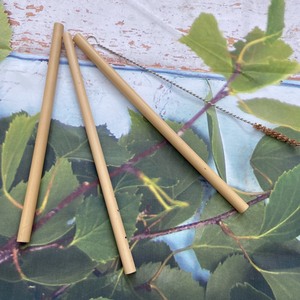 Paille de bambou naturel avec brosse de paille, ensemble de paille en bambou naturel de haute qualité avec sac en toile au prix bon marché, fabriqué au VIETNAM, 2 pièces - Product Image 2