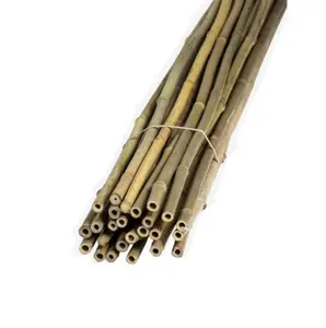 Half cut bamboo poles big size bamboo canes from Vietnam supplier high quality ready to export