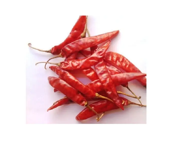 PRIX BON MARCHÉ POUDRE de PIMENT ROUGE SÉCHÉE/PIMENT FRAIS DE HAUTE QUALITÉ au VIETNAM (Pita Khooi + 84 797987481)