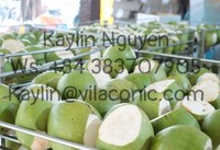 Verse Kokosnoot Speciale Aanbieding Vietnam Origin + 84796855283