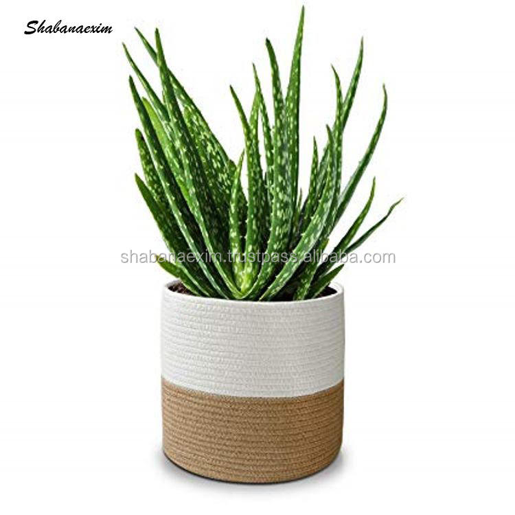 ตามใบสั่งซื้อ