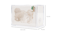 Empire of Ants - Boîte d'observation pour fourmis écologique classique, 8,5x6x4cm, toutes saisons, cage en plastique durable pour animaux de compagnie