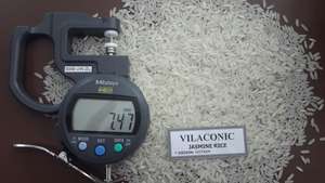 ข้าวหอมมะลิ/ ข้าวหอม/ ริซ ออ ดี จัสมิน - Product Image 3