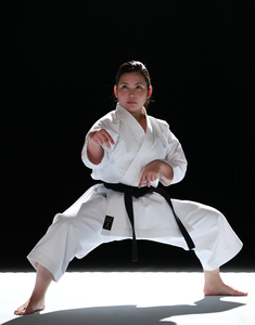 El tejido de máxima calidad y resistencia para Kata potente, cómodo de usar, fácil de mover y de mantener. - Product Image 1