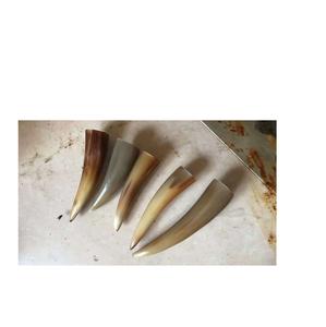 Pointe noire en corne à vendre Pointe en corne de buffle en vrac Corne noire et personnalisée pour produit chaud - Product Image 2
