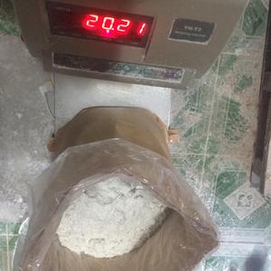 Poudre de Marante de Qualité Supérieure Biologique au Vietnam - Product Image 1