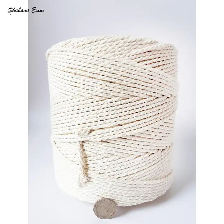 3 mm Thin Natural Twisted Jute String Macrome Cotton Rope - China