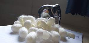 100% Naturel Écologique Fibre De Soie Visage Propre Silkworm Cocoon Écologique Cocons Beauté Soie-Laura - Product Image 5