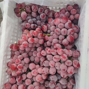 Uvas carmesí frescas sin semillas de alto dulce con brillo natural Premium Organic Sudáfrica 24-28mm - Product Image 2