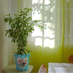 Vases à fleurs et seaux en métal galvanisé personnalisables Pots de fleurs en fer et jardinières de balcon pour le jardin - Product Image 5