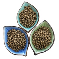 Filtre à eau en céramique dorée antibactérien avec capacité de 100g/500L, productivité de 1000L/heure, adoucissement et dessalement