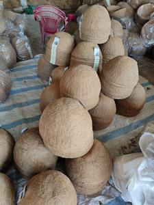 หม้อโกโก้สําหรับตกแต่งสวนจากซัพพลายเออร์เวียดนาม - Product Image 4