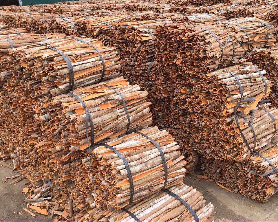 Cinnamon Single Spices Cassia Best Quality Low Price Dried Cinnamon Stick Spicy AD Single Herbs & Sp
