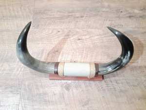 Bull Horn Round Shaped Western Style on Solid Wood Base with <b>Leather</b> and Twine Farmhouse Historic <b>House</b> Wall Decor - Product Image 4