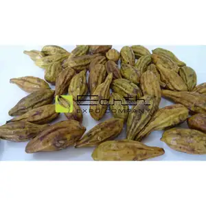 Harad or Myrobalan (تيرموناليا شيبولا) منتجات غنية الجودة تيرموناليا شيبولا متفوقة المنتج Harad أو Myrobalan