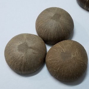 Eco2go Vietnam Natural Coconut Shell Biodegradable Eco-Friendly BPA Free Stackable <b>Freezer</b> Safe Dessert Bowl Ice Cream Food Safe - Product Image 5