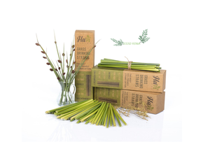 Paille bodum thule en paille biodégradables et d'herbe naturelle, pailles à boire naturelles et écologiques pour boire les boissons, fabriquées au Vietnam - Product Image 2
