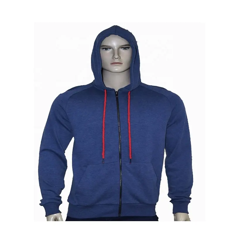 Wholesale Custom High Quality 100% Cotton Plain Hoodies Men's Hoody Custom Color Hoodies