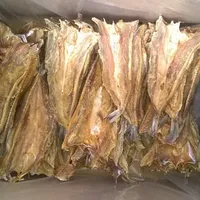 Dried Lizard Fish, Dried Seafood, Best from Vietnam