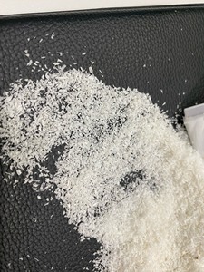 NOIX DE COCO RÂPÉE SÉCHÉE/NOIX DE COCO DESSICQUÉE À HAUTE TENEUR EN GRAISSE/NOIX DE COCO RÂPÉE À HAUTE TENEUR EN GRAISSE EN POUDRE - Product Image 3