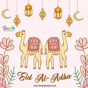 BBQ en bois dur pour EID AL ADHA 100%, itri, hijab, meilleure vente au moyen-orient - Product Image 1