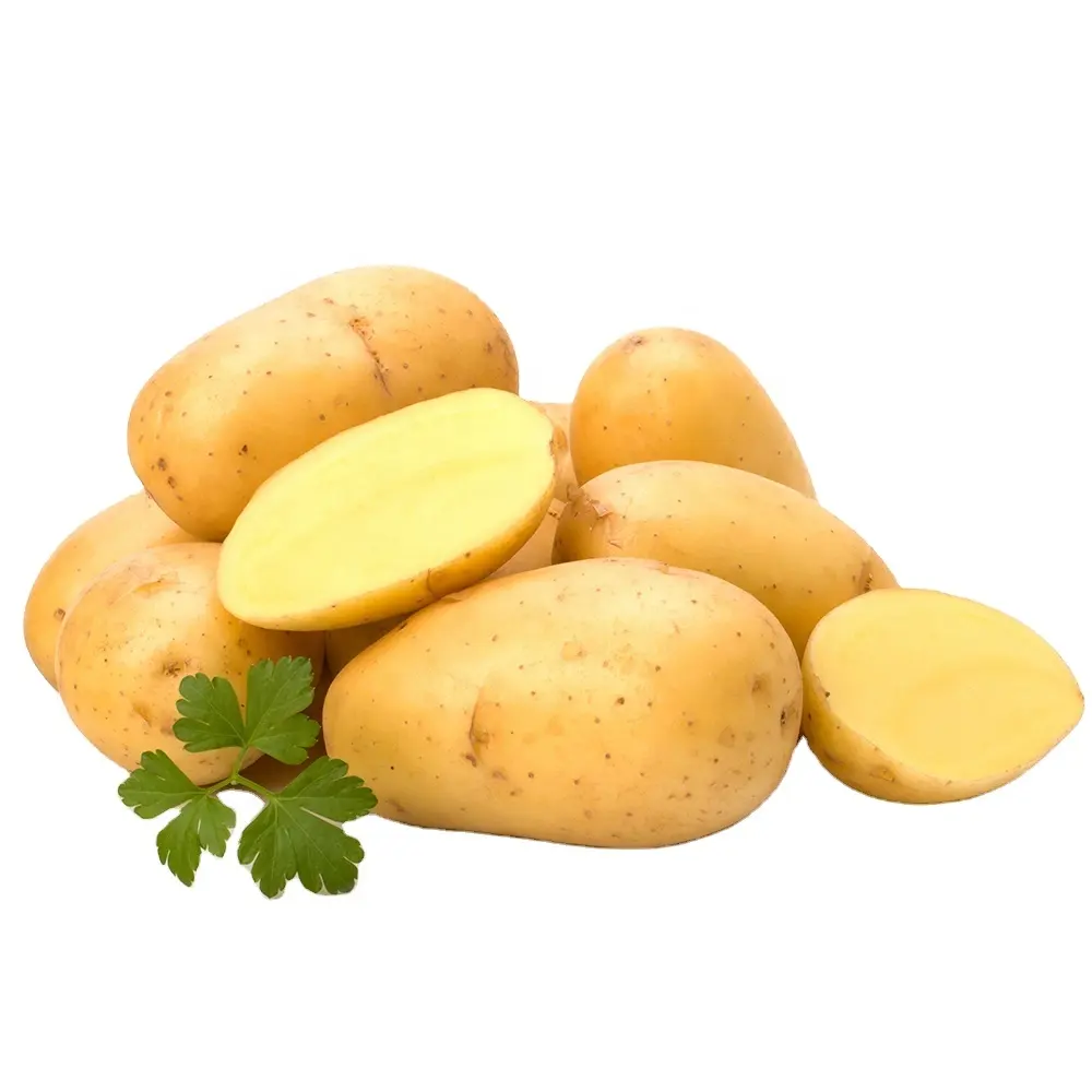 מיטב איכות גדול גודל טרי תפוחי אדמה מפקיסטן/סיטונאי מחיר, בתפזורת כמויות/יבוא תפוחי אדמה בתפזורת
