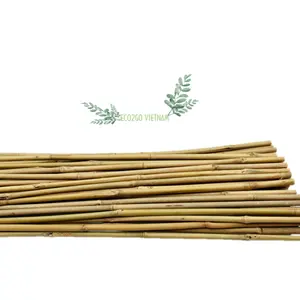 Bâtons de canne en bambou pour le jardinage, tige en bambou de haute qualité, au prix le moins cher et de haute qualité, pour l'industrie