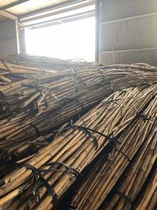 เวียดนามธรรมชาติ MALACCA อ้อยหวาย/เสาหวายวัตถุดิบสำหรับเฟอร์นิเจอร์หวาย - Product Image 6