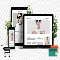 Maßge schneiderte E-Commerce-Website Design-Entwicklungs service beste Website-Unternehmen in Indien maßge schneiderte E-Commerce-Website-Design
