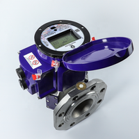 Irrigation industrielle ultrasonique en vrac sans fil AMR AMI R250 compteur d'eau intelligent nouveau Gen corps en acier inoxydable nb-iot LoRa