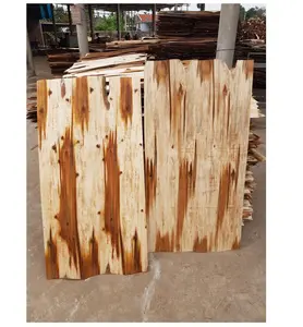 Plaquages en bois d'acacia naturels, 100 pièces, bas prix