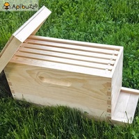 Boîte en bois pour abeilles, 50 pièces, accessoire pour apiculteur, soins du miel, équipement pour apiculteur