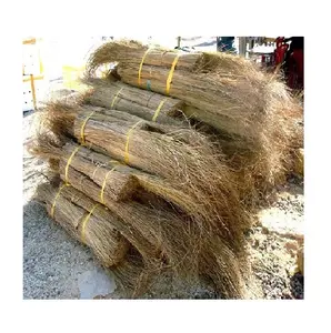 หญ้าไม้กวาด-ปลอดสารพิษมะพร้าวไม้กวาด (Lee: + 84 987731263) - Product Image 1