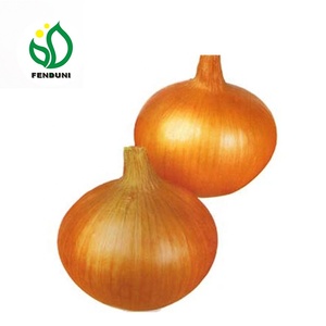 Trung Quốc Xuất Khẩu Tươi Giá Vàng Hành Tây Cho Người Mua Và Nhập Khẩu Bán Buôn - Product Image 2