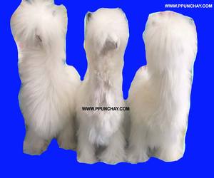 Peluche bébé alpaga Suri 12 pouces, Ppunchay, Pérou, ethnique andin, douce, moelleuse et agréable - Product Image 5