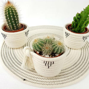Nouveau panier de corde de coton de style mini pour cadeau de panier de plantes et de fruits pour les amateurs de plantes - Product Image 1