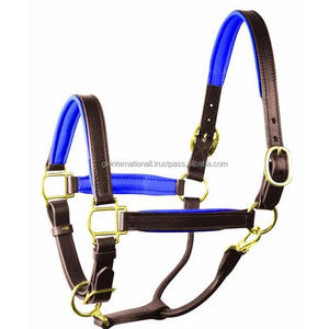 Licou de cheval en cuir, licou Durable, avec coussinet coloré en néoprène souple et cou, matériel en laiton robuste - Product Image 1