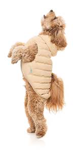 Chaqueta Aspen Beige para mascotas, cómoda chaqueta de aventura, ropa reciclada para perros - Product Image 5