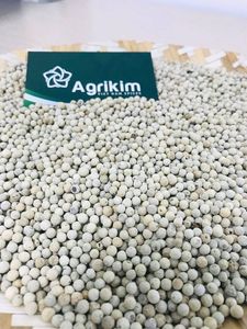 Pimienta blanca, superventas, precio competitivo de Vietnam - Product Image 5