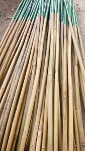 Fournisseur vietnamien de cannes en bambou naturel/poteau droit en bambou prix bon marché pour l'artisanat - Product Image 5