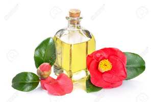 Huile de graines de camélia pressée à froid certifiée GMP - Product Image 6