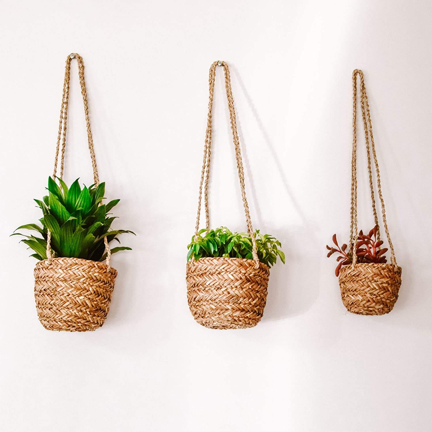 ธรรมชาติ