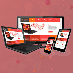 SEO SEARCH ENGINE OPTIMIZATION Services provider Company | Award winning SEO | SEM | SMM Services by Webroot Infosoft - Product Image 1