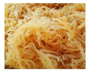 Precio competitivo/Seamoss/Eucheuma Cottonii de Vietnam/solo para exportación/Sra. Jennie - Product Image 1