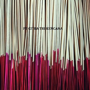 INCENSE STICK IN Galle SRI LANKA, GUM/TABU/JIGGIT POWDER/RED JOSS/WHITE JOSS USING BROOKFIELD 7000 VISCOSITY NOT VIETNAM CUP - Product Image 6