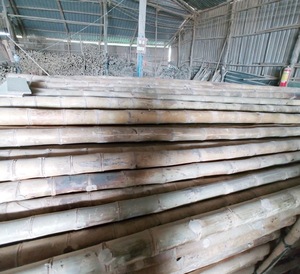 Бамбуковые трости/бамбуковые столбы/Необработанные бамбуки/для садоводства, сельское хозяйство, Лучшая цена из Вьетнама