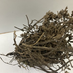 100% FEUILLES DE GELÉE D'HERBE SÉCHÉES NATURELLES-AMBRE - Product Image 1