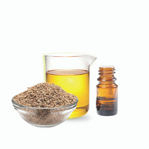 Árbol de té aprobado por GMP OEM/ODM Semilla de Carambola/aceite esencial Ajowain Etiqueta Privada suministro mayorista exportadores de aceite esencial Ajwain - Product Image 1