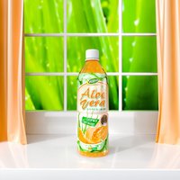 WANA OEM/ODM Productie Vietnam 500ml PET Versgeperste Aloë Vera Drank met Chia Zaden en Fruit Smaak, Gesteriliseerd, Gezond, Laag in Suiker